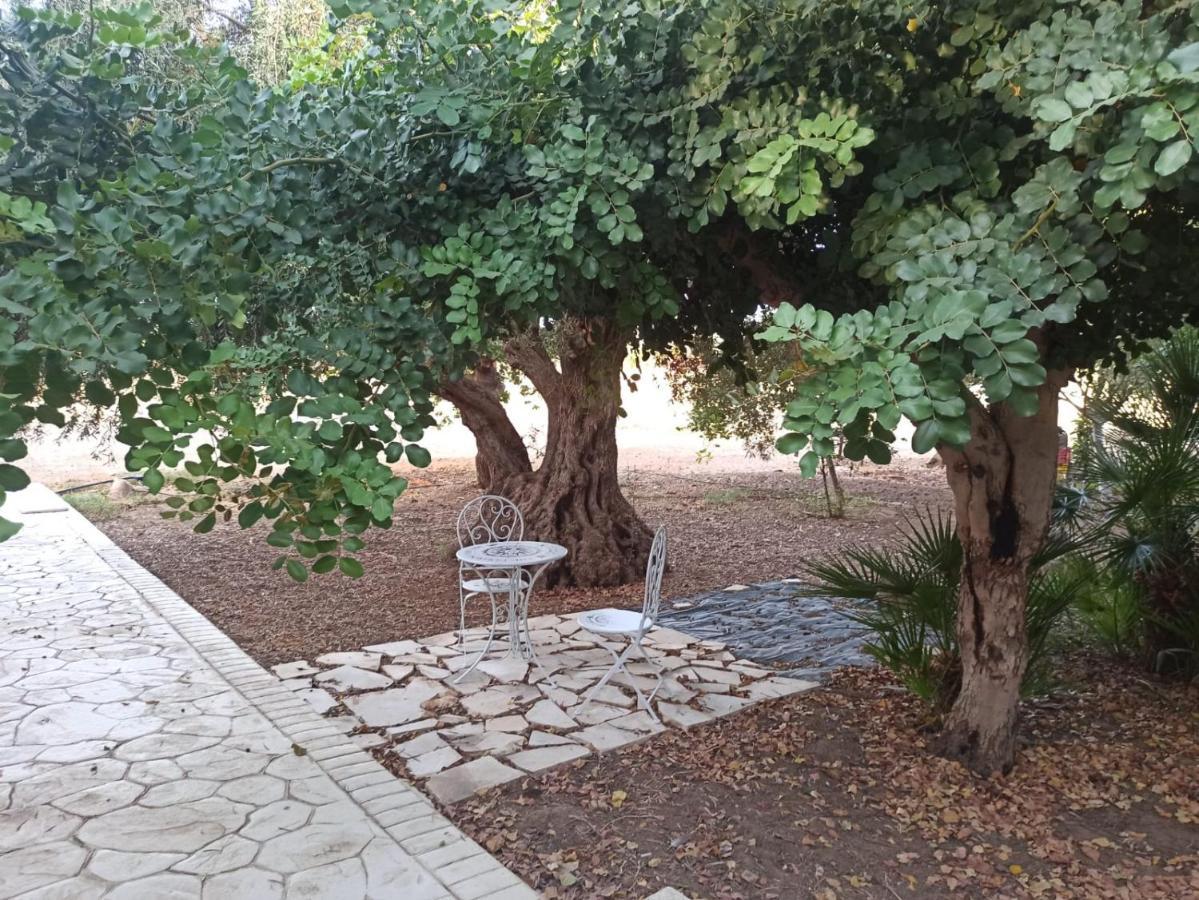 Casa Degli Spartani Pina 希克利 外观 照片